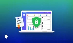 Read more about the article What Is an SSL Certificate and Why Is It Important for Your Business?